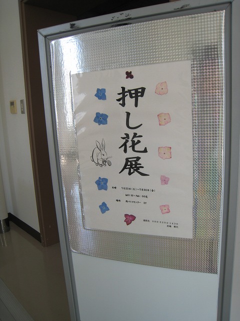 http://hakomachi.com/diary2/images/IMG_3191.jpg