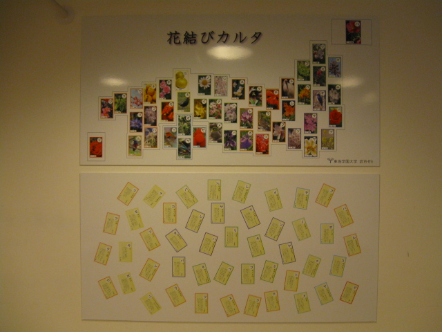 http://hakomachi.com/diary2/images/IMG_5006.JPG