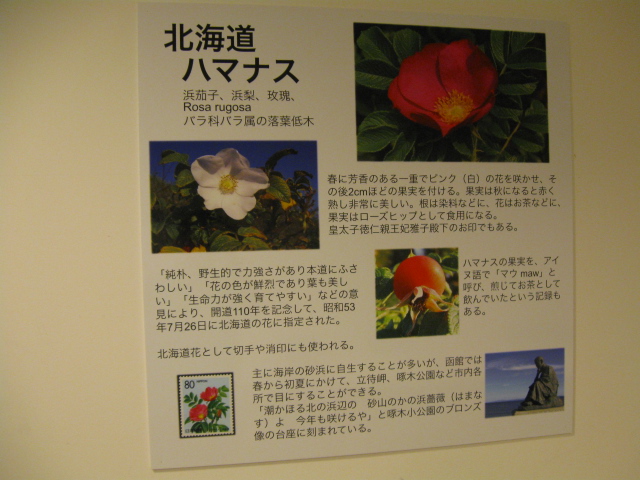 http://hakomachi.com/diary2/images/IMG_501004.JPG