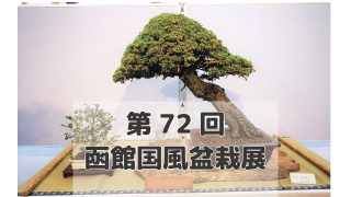 新発売】今週の市販 国風盆栽展 第52回〜95回（第67回なし） 計