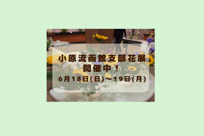 いけばな小原流函館支部展 「向夏～花ときめき」開催中！(2023.6