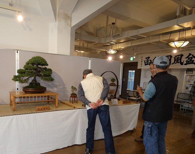第74回国風盆栽展」開催中！（2024.10.12～13） – まちづくりセンター