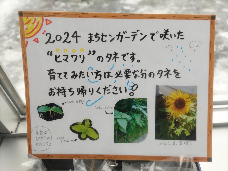 ひまわりの種」配布中！（2024.12.13） – まちづくりセンター活動日記
