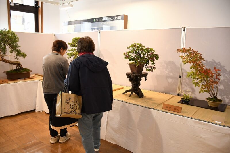 盆景絵巻　日本盆景協会　創立十五周年記念 日本盆栽作風展50周年記念張 販売開始 15,000円(税込) #盆栽